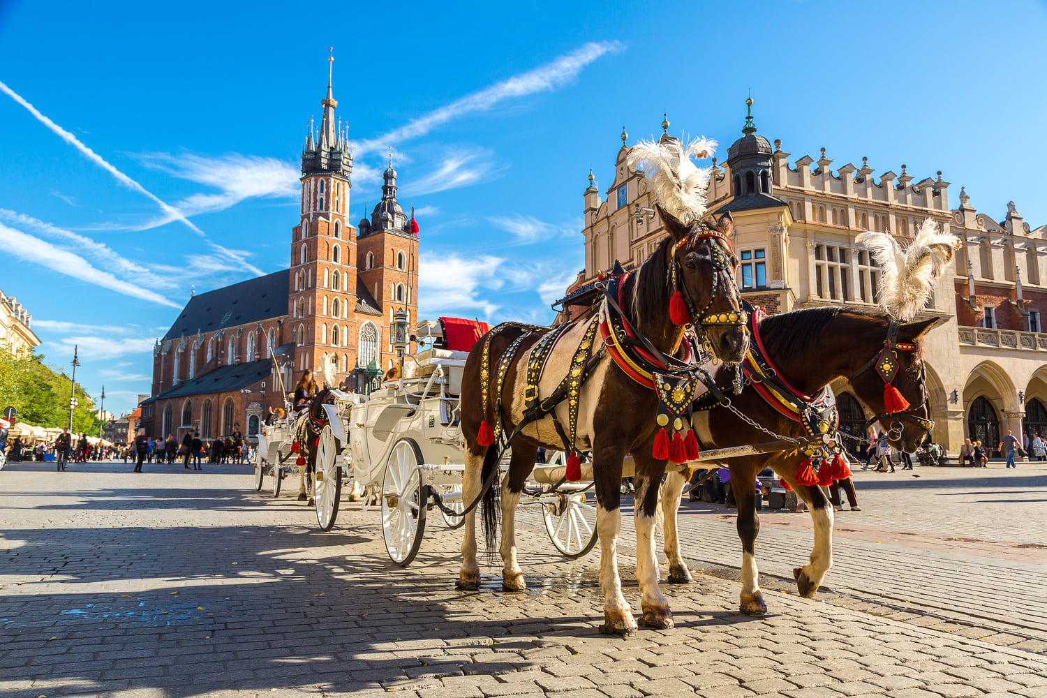 Horse carriages at main square